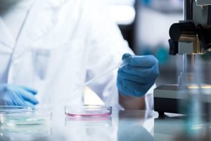 man in lab with petrie dish and dropper