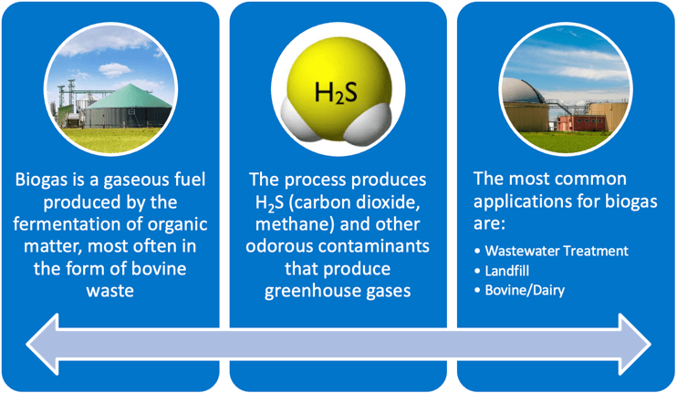 what is biogas