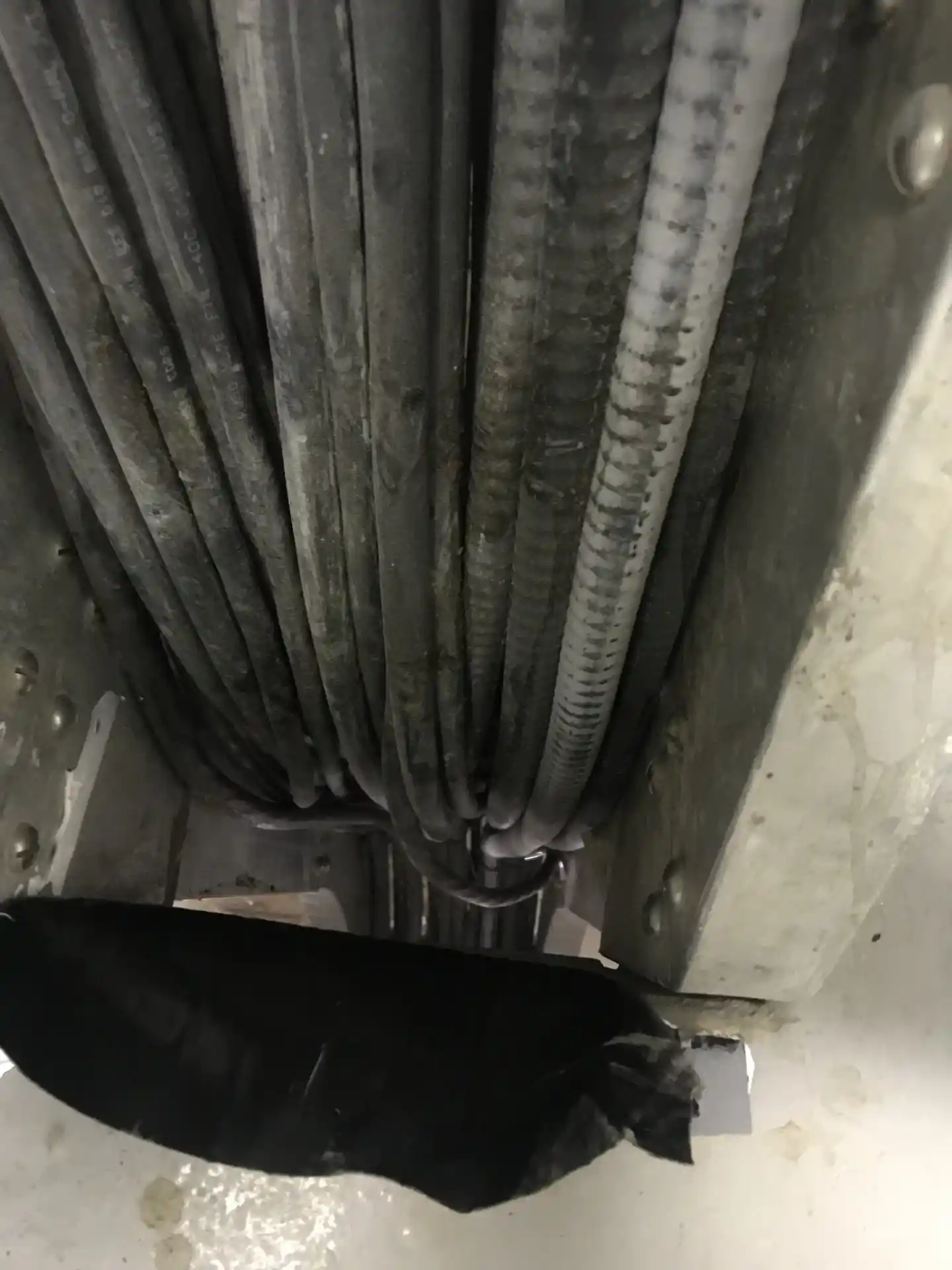 Before exposed cords