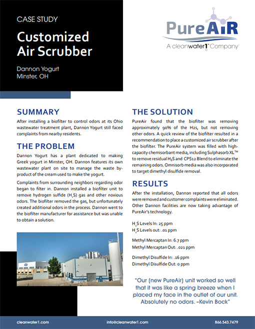 Dannon Yogurt case study